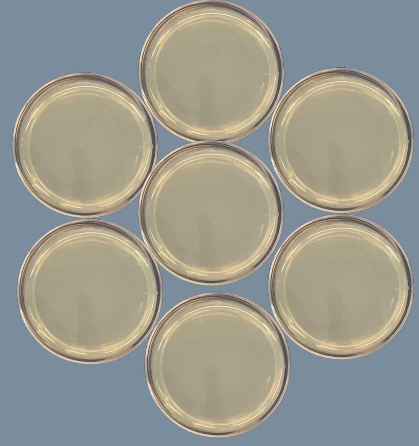 Pre-Made Agar Plates