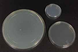 Ready-Made Agar Plates